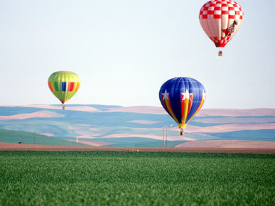 Colorful Hot Air Balloons Float over a Wheat Field in Walla Walla, Washington, USA